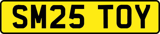 SM25TOY