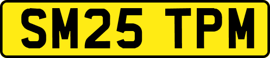 SM25TPM