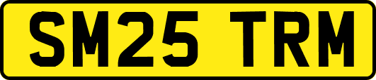SM25TRM