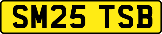 SM25TSB