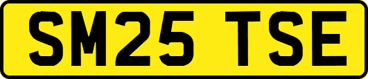 SM25TSE