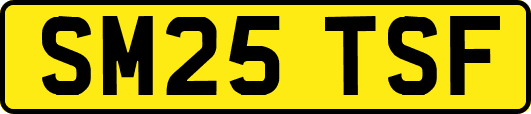SM25TSF