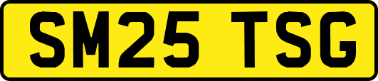 SM25TSG