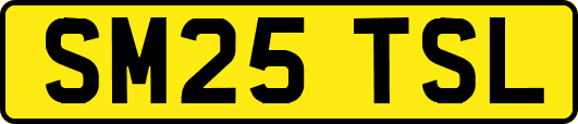 SM25TSL