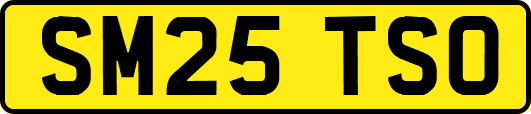 SM25TSO