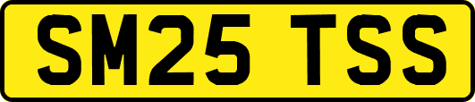 SM25TSS