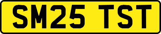 SM25TST