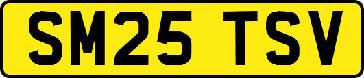 SM25TSV