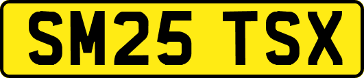 SM25TSX
