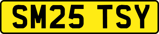 SM25TSY