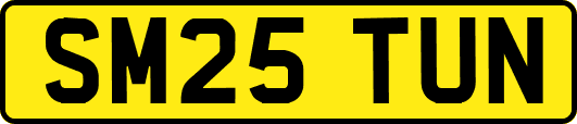 SM25TUN