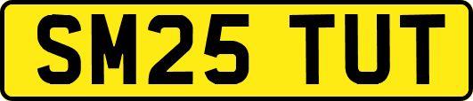 SM25TUT