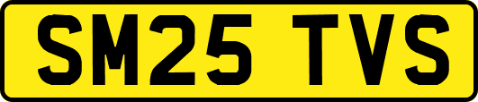 SM25TVS