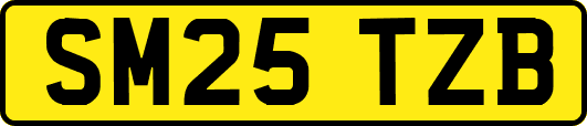 SM25TZB