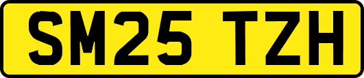 SM25TZH