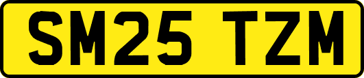 SM25TZM