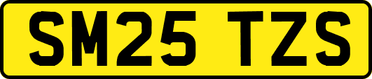 SM25TZS