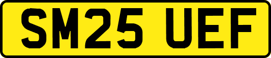 SM25UEF