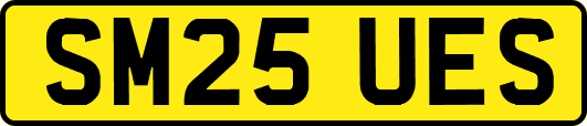 SM25UES