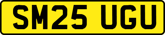 SM25UGU