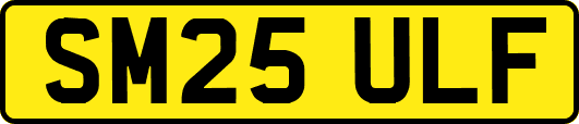 SM25ULF
