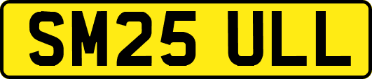 SM25ULL