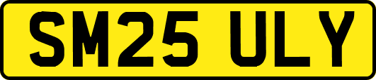 SM25ULY