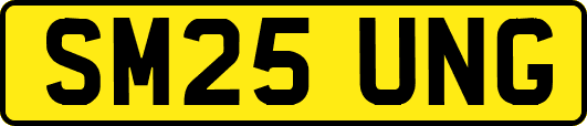 SM25UNG
