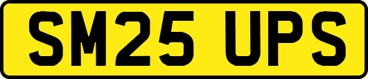 SM25UPS