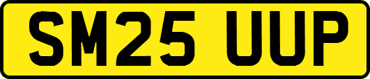 SM25UUP