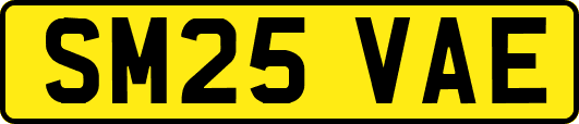 SM25VAE