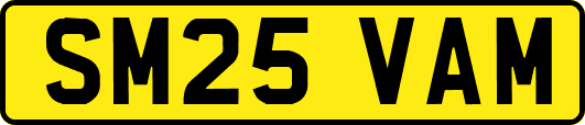 SM25VAM