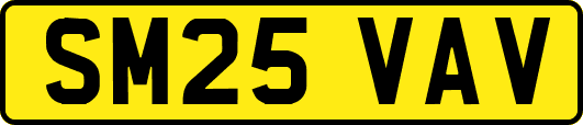 SM25VAV