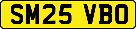 SM25VBO