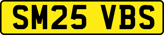 SM25VBS