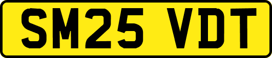 SM25VDT