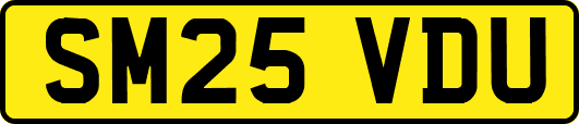 SM25VDU
