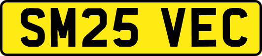 SM25VEC