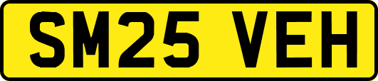 SM25VEH