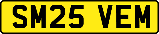 SM25VEM
