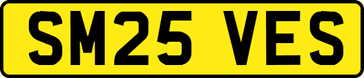 SM25VES