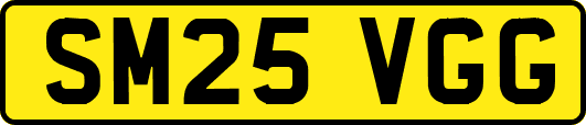 SM25VGG