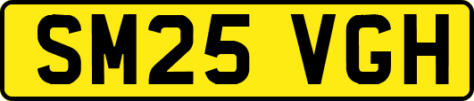 SM25VGH