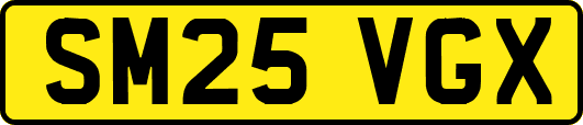 SM25VGX