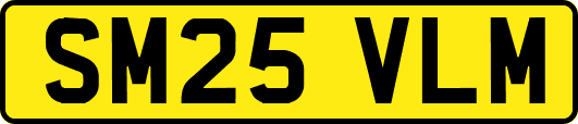 SM25VLM