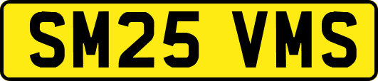 SM25VMS