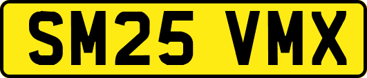 SM25VMX