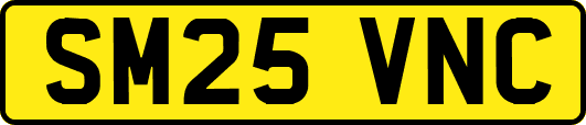 SM25VNC