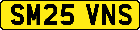 SM25VNS