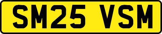 SM25VSM